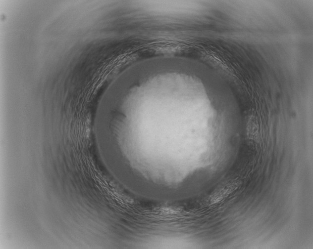 X0000059040737200510171848