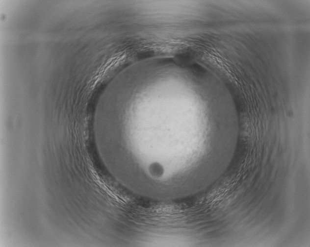 X0000059040738200510171848