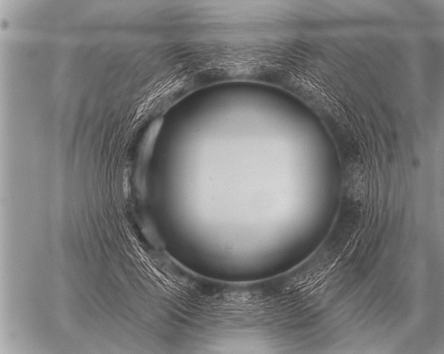 X0000059040740200510171848