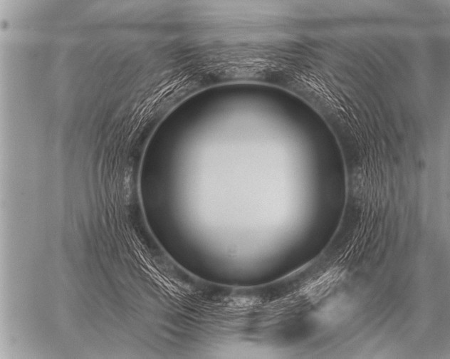 X0000059040741200510171848