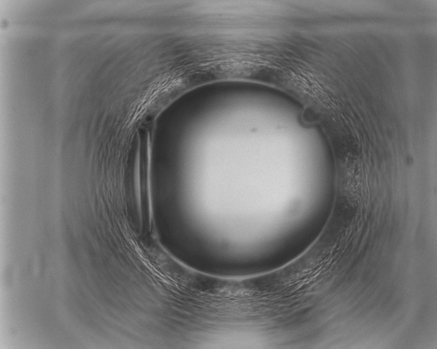 X0000059040742200510171848