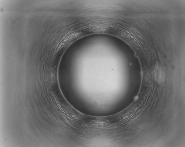 X0000059040743200510171848