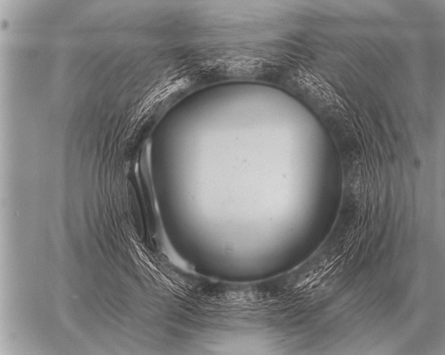 X0000059040744200510171848