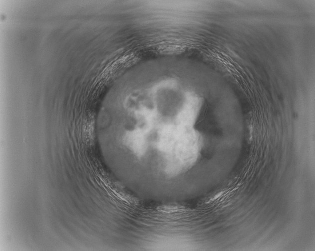 X0000059040745200510171848