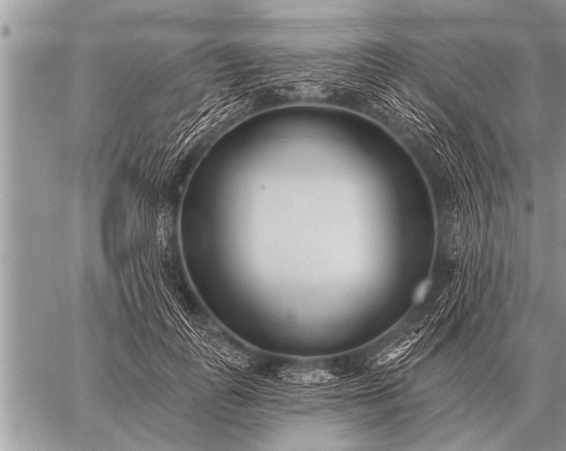 X0000059040747200510171848