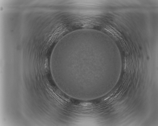 X0000059040748200510171848