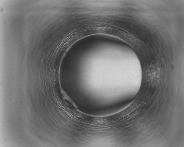 X0000059040750200510171848