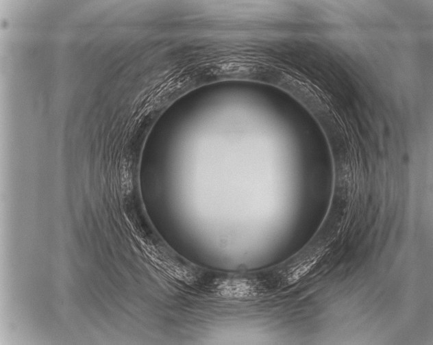 X0000059040751200510171848