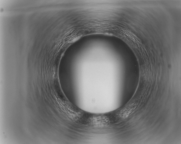 X0000059040752200510171848