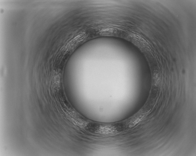 X0000059040753200510171848