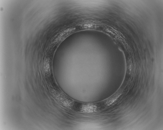 X0000059040754200510171848