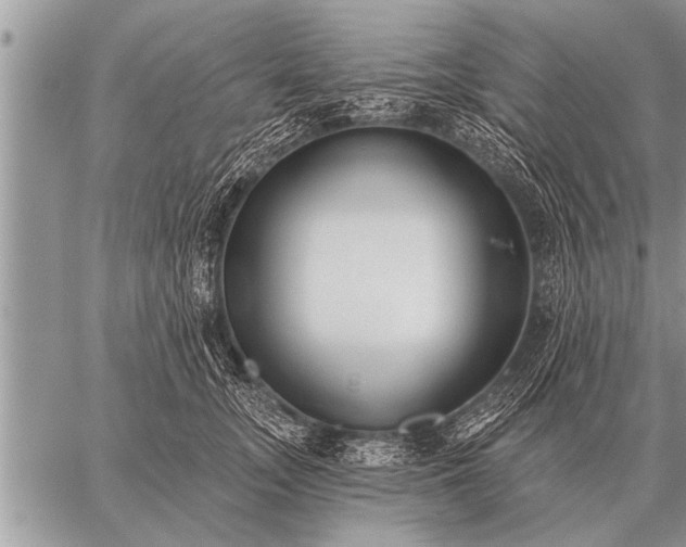 X0000059040755200510171848