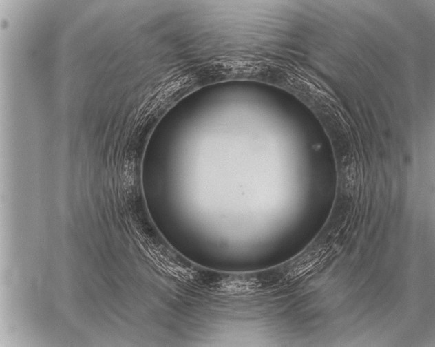 X0000059040756200510171848