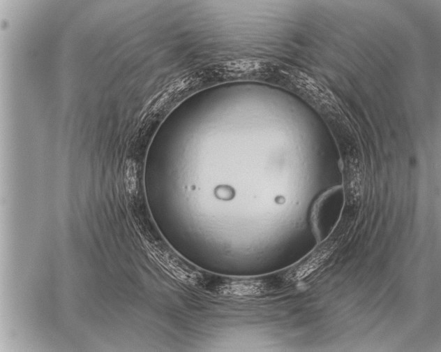 X0000059040758200510171848