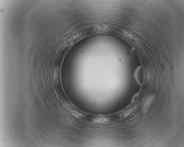 X0000059040759200510171848