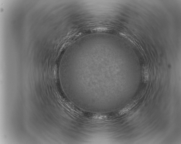 X0000059040760200510171848