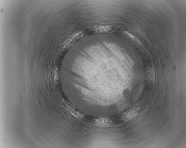 X0000059040761200510171848