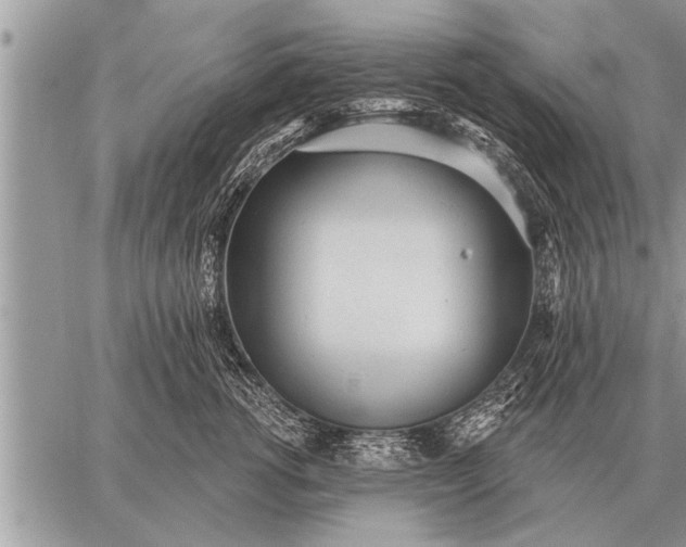 X0000059040762200510171848