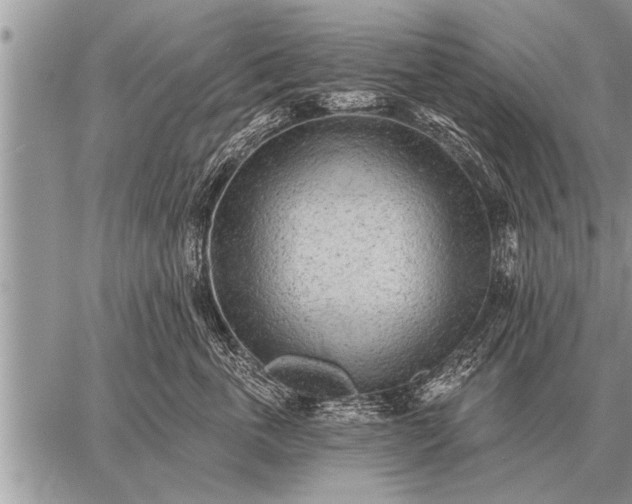 X0000059040763200510171848