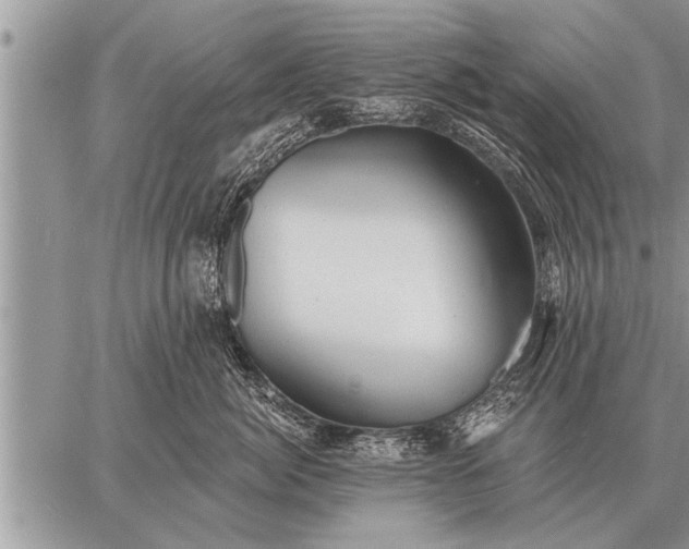 X0000059040764200510171848