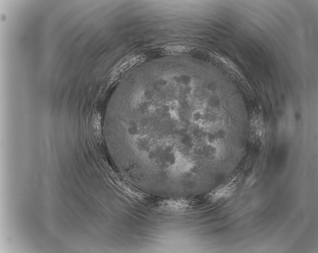 X0000059040765200510171848