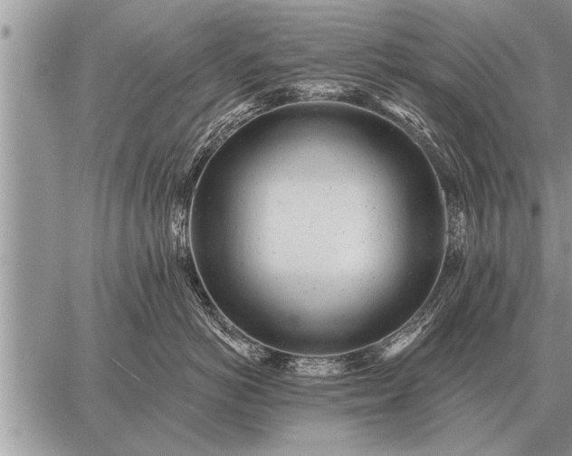 X0000059040766200510171848