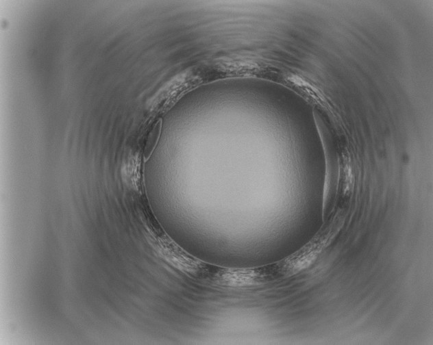 X0000059040767200510171848