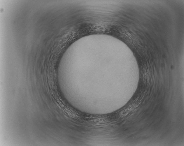 X0000059040769200510171847