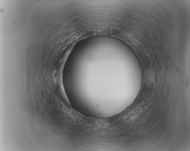 X0000059040770200510171847