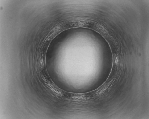 X0000059040771200510171847