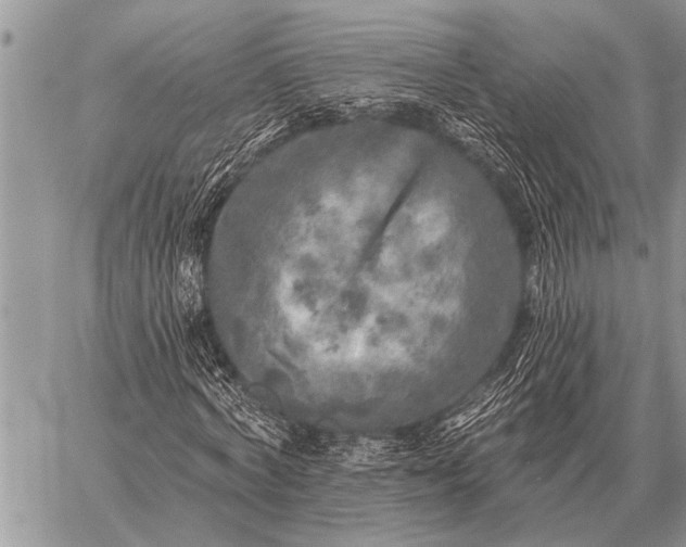 X0000059040772200510171847