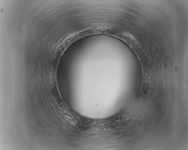 X0000059040773200510171847