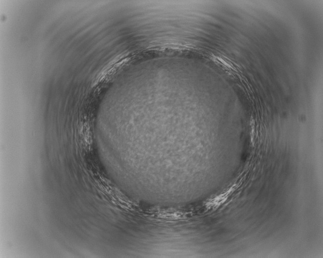 X0000059040774200510171847