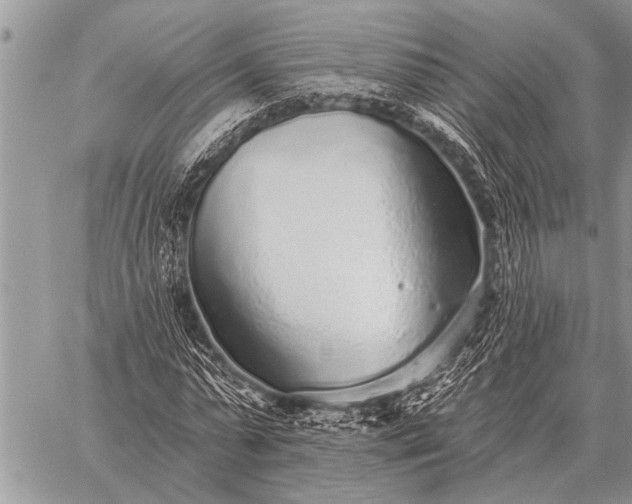 X0000059040775200510171847