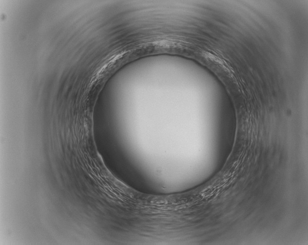 X0000059040776200510171847