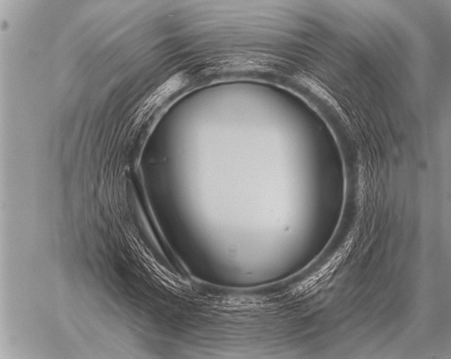 X0000059040777200510171847