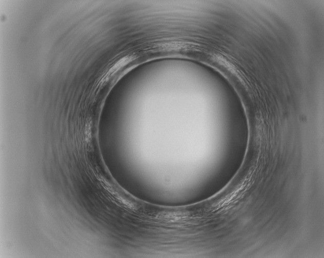 X0000059040778200510171847