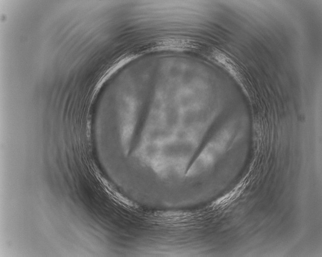 X0000059040779200510171847