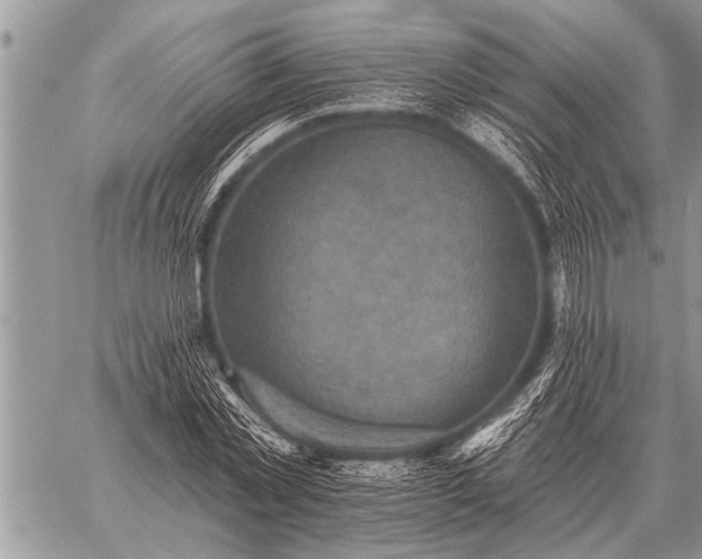 X0000059040781200510171847