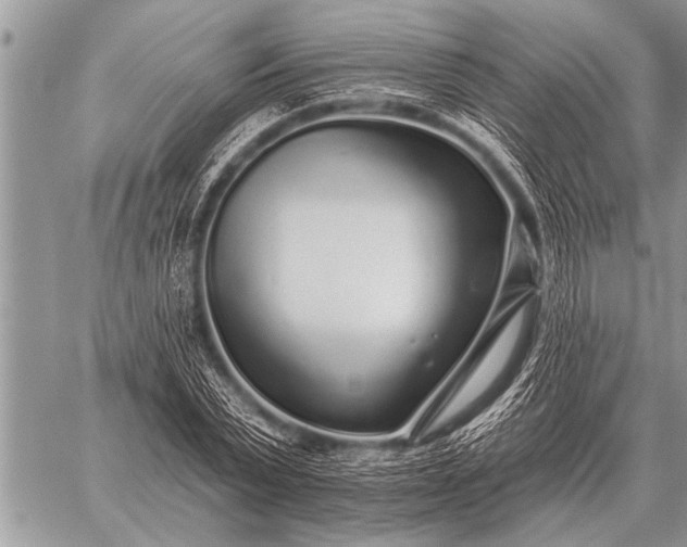 X0000059040783200510171847