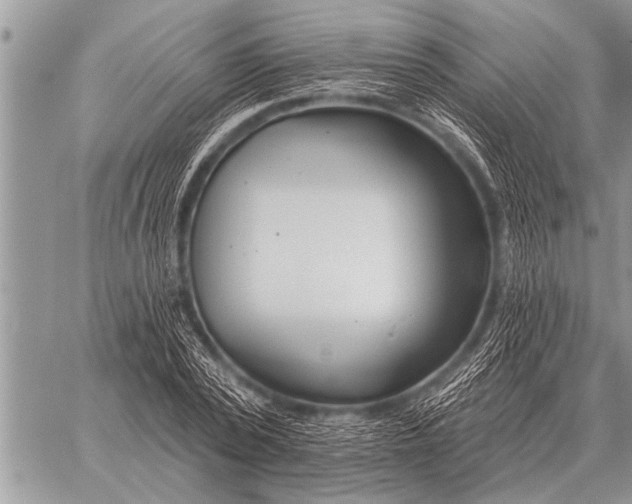 X0000059040784200510171847