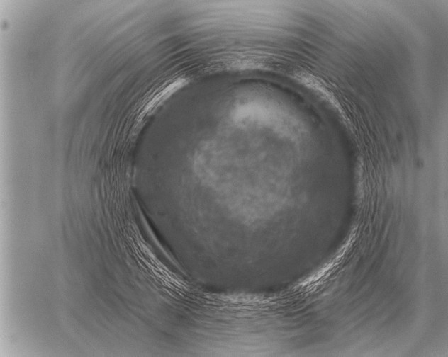 X0000059040785200510171847