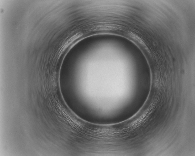 X0000059040786200510171847