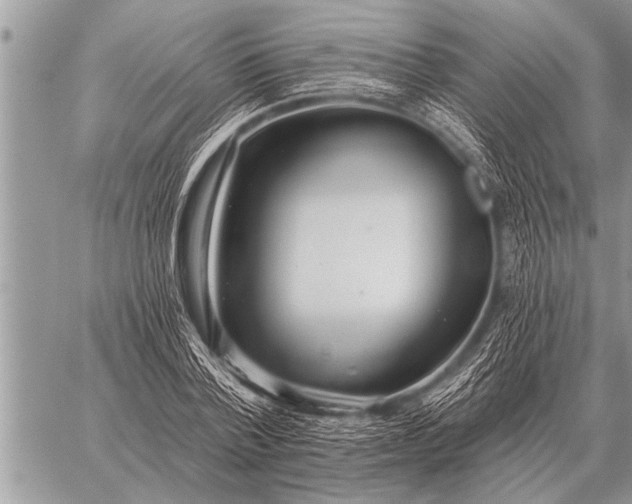 X0000059040788200510171847