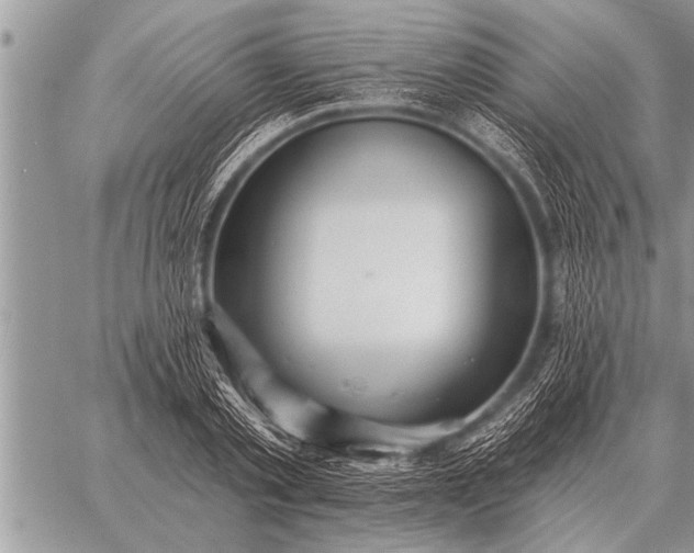 X0000059040789200510171847