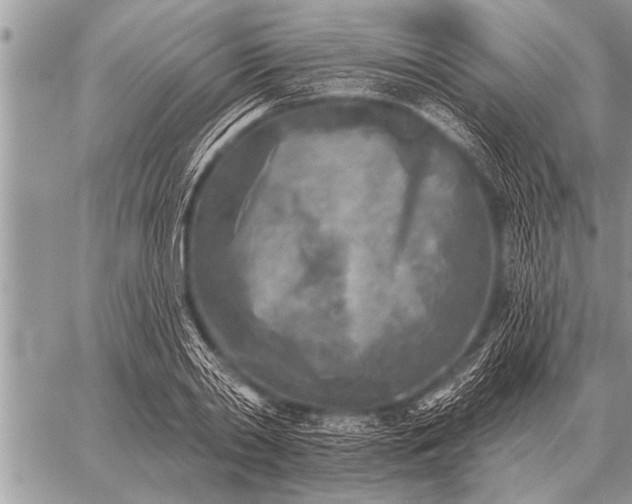 X0000059040790200510171847