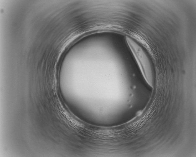 X0000059040792200510171847