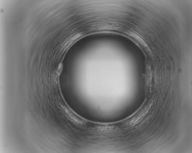 X0000059040793200510171847