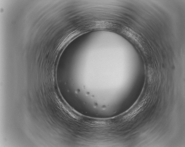 X0000059040794200510171847