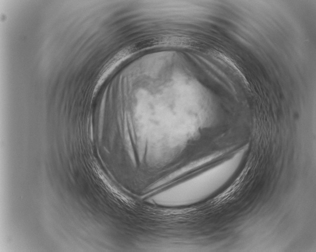 X0000059040796200510171847